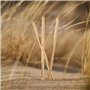 pandoo Lot de 50 pailles jetables en bambou 250 grammes (4280001327931)