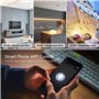 DIY Smart WiFi Lumière LED Gradateur Smart Life/Tuya APP Télécommande 1/2 voie, Compatible avec Alexa Echo Google Home