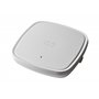 CISCO Embedded WrlCtr on C9120AX