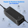 VOLOHAS 58,8 V 2 A Chargeur pour Kugoo G3/G-Booster Trottinette Électrique, Vélo Électrique, Hoverboard, Câble de Charge avec Fi