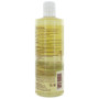 PraNaturals Huile de ricin pressée à froid 500 ml – 100% naturel végétalien pure, pour la croissance des cheveux et les cils, pl