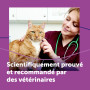 FELIWAY Classic Spray 60 ml - Phéromones Apaisantes pour Chats - Apaise les Chats à la Maison et Réduit le Stress lors du Transp