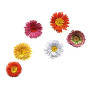 Rayher Quilling Fringer paperolle pratique materiel quilling pour faire des petites franges sur les bandes de papier de 6 à 9 mm