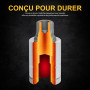 LEXIVON Coffret Douille Torx Male | douille 12 pans XZN en acier S2 premium | Set de 10 pièces M4 à M18 avec Coffret Torx de ran