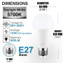 iLC LED Ampoules de couleur Edison Changement de Couleur Ampoule RGB+Blanc Dimmable - 120 Choix de Couleur - 10Watt E26 Types RG