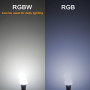 iLC LED Ampoules de couleur Edison Changement de Couleur Ampoule RGB+Blanc Dimmable - 120 Choix de Couleur - 10Watt E26 Types RG