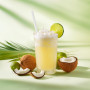Sorbos - Pailles comestibles saveurs citron vert. Durable, emballé individuellement, sans allergène, sans gluten, 100% biodégrad