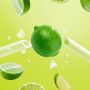 Sorbos - Pailles comestibles saveurs citron vert. Durable, emballé individuellement, sans allergène, sans gluten, 100% biodégrad