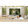 hisense 100L9HD Trichroma Laser TV INCL. 120" ALR Fresnel Daylight Screen