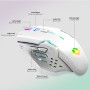 Empire Gaming Armor RF800 Pack Clavier Souris Gaming Rechargeable sans Fil AZERTY (Français-Layout) RGB avec Tapis de Souris -Cl