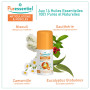 Puressentiel - Articulations et Muscles - Roller aux 14 Huiles Essentielles - Soulage les douleurs musculaires, articulaires et 