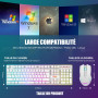 RedThunder K10 Ensemble Clavier et Souris sans Fil Gamer Rétroéclairé, AZERTY FRANÇAIS, 2,4 GHz Connexion + 3800mAh Batteries Re