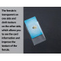 ZoeTekway Lot de 12 Pochettes Transparentes pour Cartes d'identité, Cartes EC - pour Cartes de crédit - Protection Parfaite pour