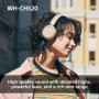 Sony WH-CH520 - Casque Bluetooth sans Fil, Multipoint, Micro intégré - jusqu'à 50 Heures d'autonomie et Charge Rapide - Rose (Re