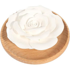 Diffuseur D'huiles Essentielles Pierre Diffuseur Pierre à Parfum en Plâtre dans à Parfum en Bois Diffuseur Passif Dhuiles Essent