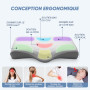 CloudNook Oreiller Orthopédique en Mousse à Mémoire de Forme – Soutien Cervical Ergonomique pour Cou & Épaules, Housse Soie Rafr