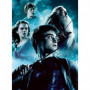 Puzzle 2x500 pieces - Harry Potter et le Prince de Sang Melé - Puzzle adultes Ra 30,99 €