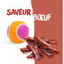 Balle pour chien - AIMÉ - 5 en 1 Saveur Boeuf