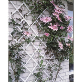 Treillis extensible plastique blanc - 50x150cm 27,47 €