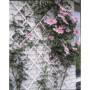 Treillis extensible plastique blanc - 50x150cm 27,47 €