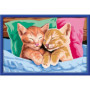 CreArt Kids  31x21cm  Chatons endormis