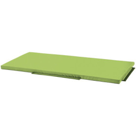 Petit tapis de réception vert clair