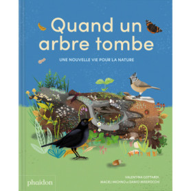 Quand un arbre tombe