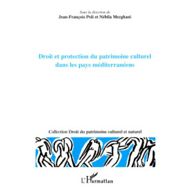DROIT ET PROTECTION DU PATRIMOINE CULTUREL DANS LES PAYS