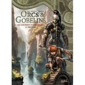 Orcs et Gobelins T31 - Guerres d'Arran