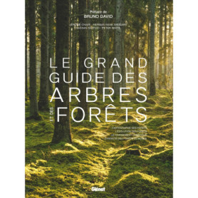Le Grand guide des arbres et forêts