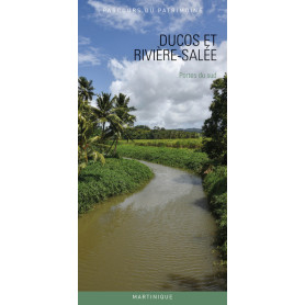Ducos et Rivière-salée