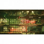 ODDWORLD SOULSTORM - Oddtimized Edition Switch 52,99 €