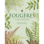Fougères - Une leçon d'adaptation