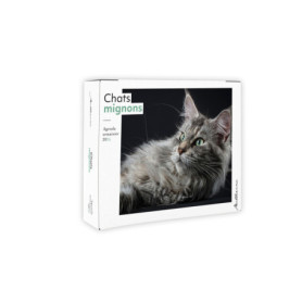 Semainier 2026 - Chats mignons