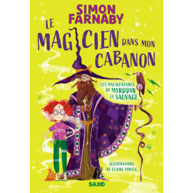 Le Magicien dans mon cabanon - Tome 01 Les malaventures de Myrddin le sauvage (broché)