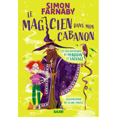 Le Magicien dans mon cabanon - Tome 01 Les malaventures de Myrddin le sauvage (broché)