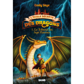 L'École secrète des dragons - Tome 05 Le Tribunal des Sept Flammes (broché)
