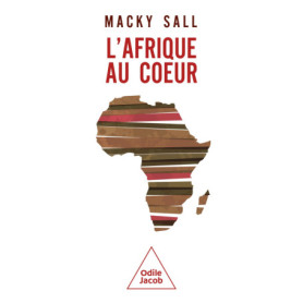 L'Afrique au coeur