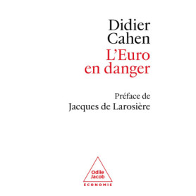 L'Euro en danger