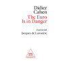 The Euro is in Danger