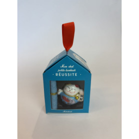 Mon chat porte bonheur - Réussite