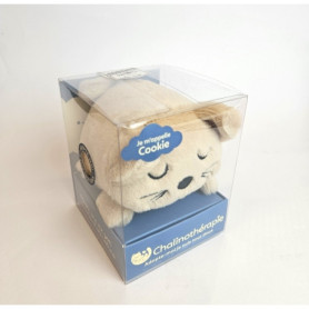 Chalinothérapie - Chat tout doux - Cookie
