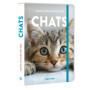 Agenda scolaire chats 2025-2026