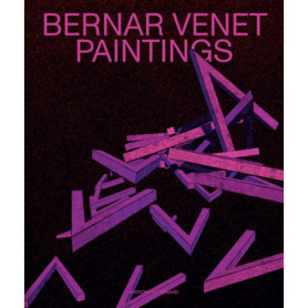 Bernar Venet - Paintings