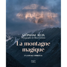 La montagne magique La montagne magique