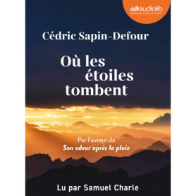 Où les étoiles tombent