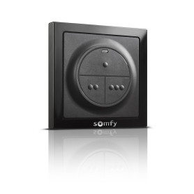 Somfy 1870781 - Commande murale radio RTS - Pour commander 3 motorisations RTS - Sans fil – Etanche
