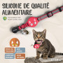 Kittytag Collier Chat avec Accessoire Compatible avec Airtag Apple,Réfléchissant et Lumineux GPS Chat avec Anti étranglement,Rég