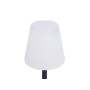 Lampe de table solaire Smartwares OSL-50012 - Utilisation intérieure ou extérieure - Aussi rechargeable par câble USB inclus - I