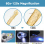 BEBANG Microscope de Poche Portable 60x~120x pour Enfants avec Zoom éclairé par LED, Microscope Portable pour Enfants, étudiants